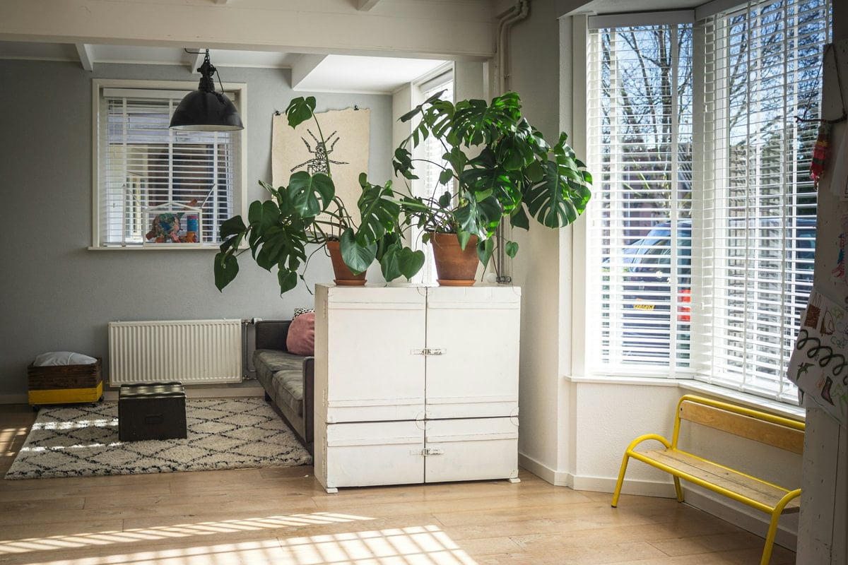 A white cupboard with 2 plants on top, in a living room